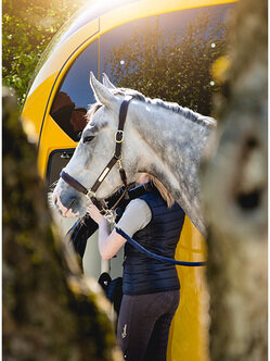 Un cheval blanc se tient devant un van jaune Humbaur Maximus. | © Humbaur GmbH