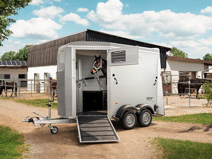 Horse in the Humbaur Notos | © Humbaur GmbH Brown horse standing in the Humbaur Notos horse trailer. | © Humbaur GmbH
