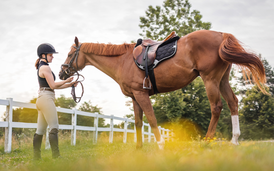 Une cavalière se tient dans un pré avec son cheval.