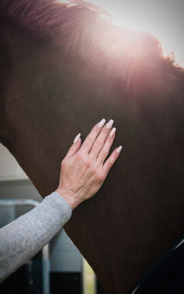 Détail : main de femme caressant l'encolure d'un cheval brun | © Humbaur GmbH